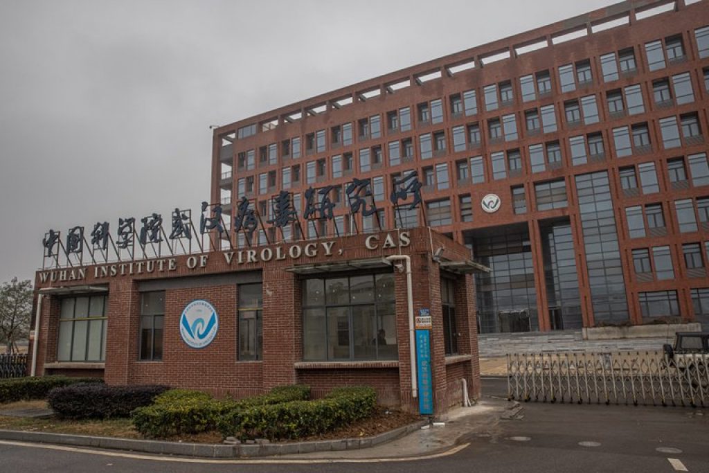 The Wuhan laboratory